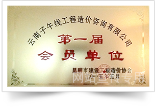 专业团队能力